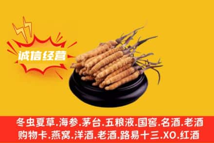 丽江古城区回收冬虫夏草